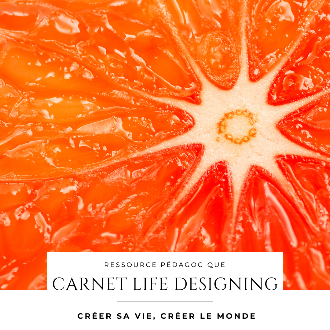 carnet illustré life designing