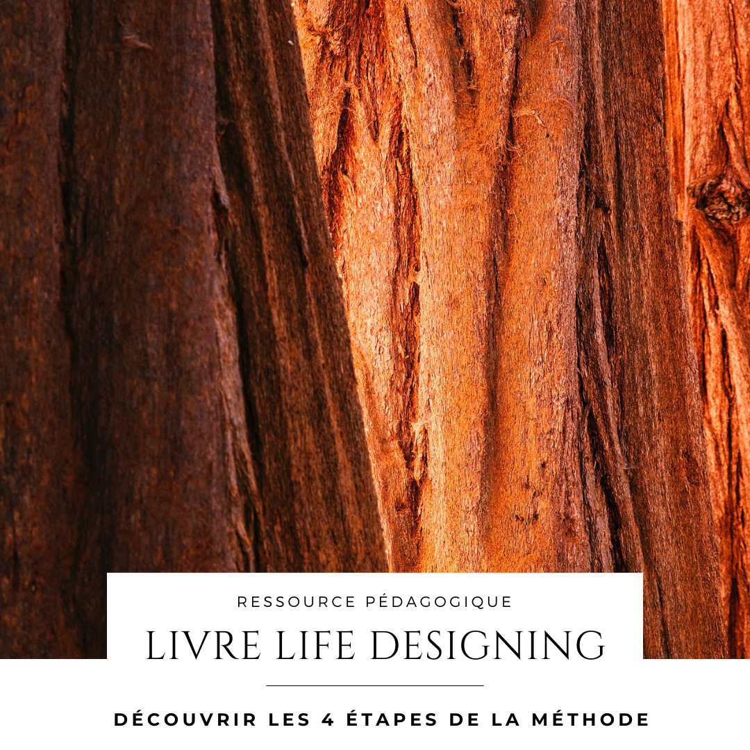 livre life designing