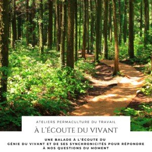 Atelier permaculture du travail, balade synchronicités à l'écoute du vivant