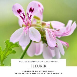 Atelier permaculture du travail fleurir