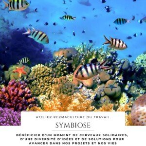 Atelier permaculture du travail Symbiose