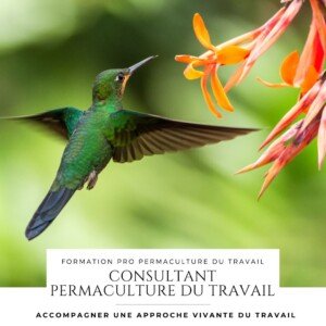 Formation consultant permaculture du travail