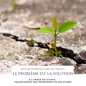Atelier le problème est la solution permaculture du travail Jennifer Vignaud