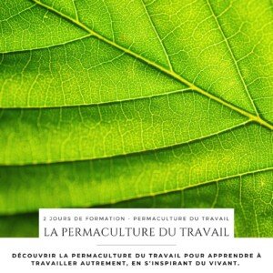 Formation découvrir la permaculture du travail