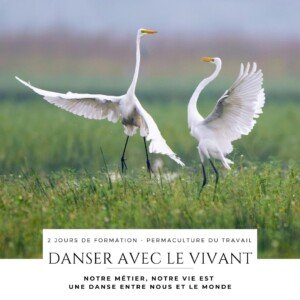 Danser avec le vivant- Permaculture du travail