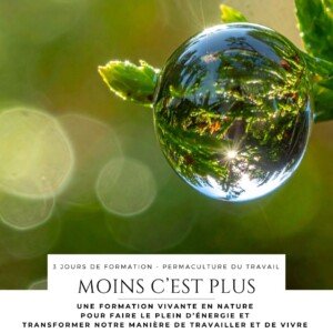 Formation Permaculture du travail Jennifer Vignaud module Moins c'est plus