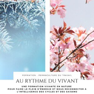 Formation permaculture du travail les rythmes du vivant