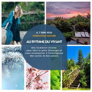 Formation permaculture du travail au rythme du vivant Réunion