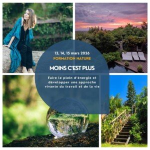 Formation moins c'est plus permaculture du travail Réunion