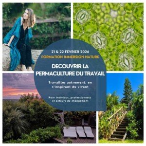 Formation découvrir la permaculture du travail Réunion