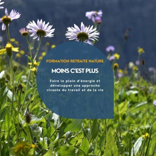 Formation permaculture travail gestion épuisement inspiré du vivant 2026