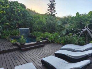 Formation permaculture du travail en nature Réunion